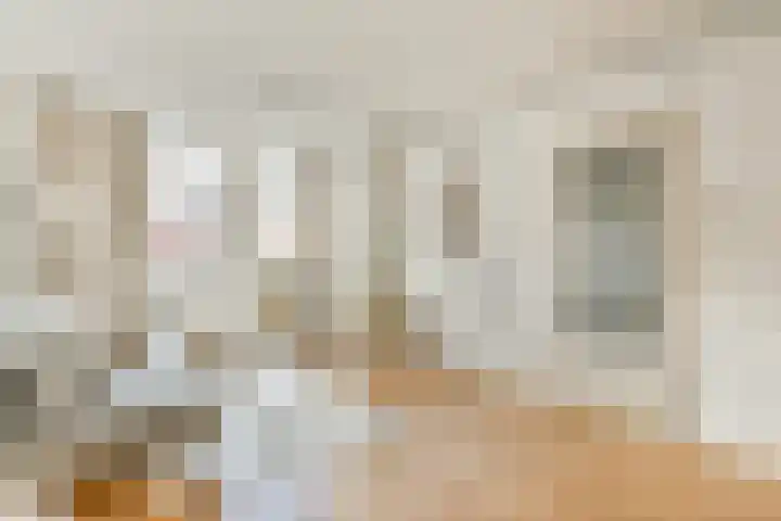 Sperwerlaan 8 A Amsterdam thumbnail 8