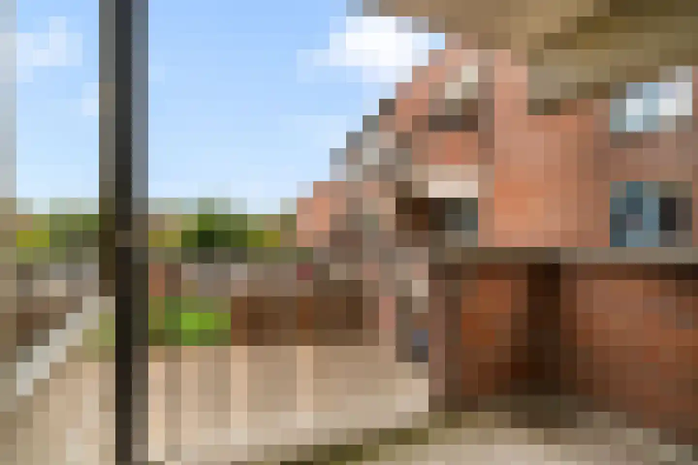 Sperwerlaan 8 Nieuwegein thumbnail 14