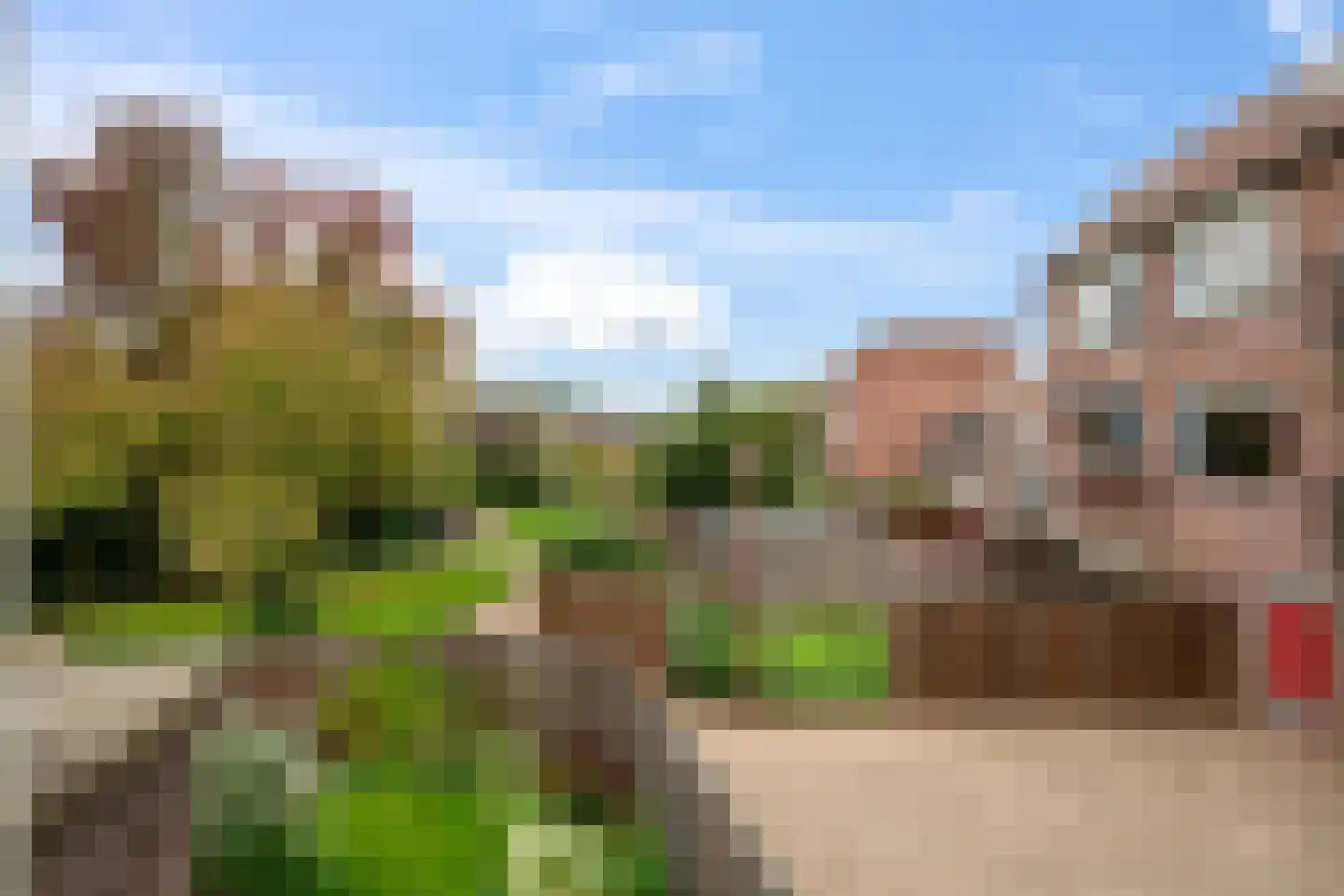 Sperwerlaan 8 Nieuwegein thumbnail 16