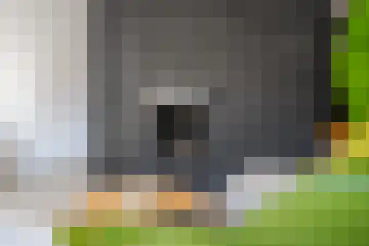 Sperwerlaan 90 Leerdam thumbnail 21