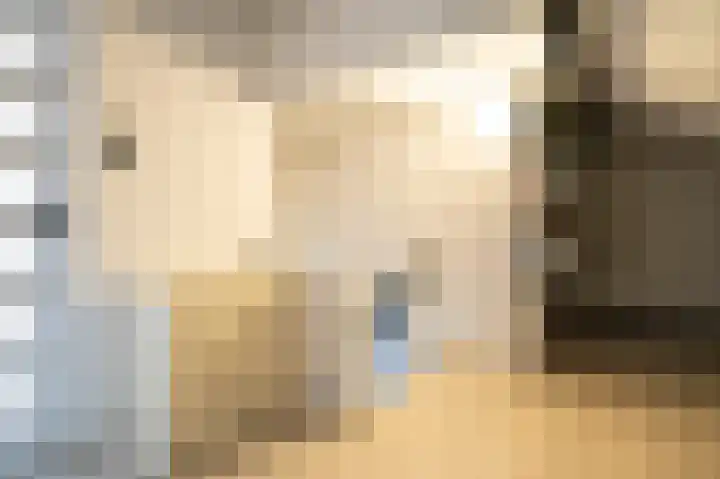 Sperwerlaan 90 Leerdam thumbnail 45