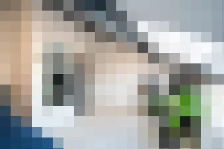 Sperwerlaan 90 Leerdam thumbnail 48