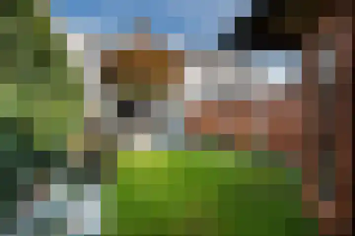 Sperwerlaan 90 Leerdam thumbnail 50