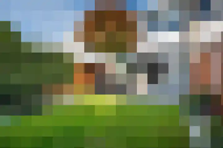 Sperwerlaan 90 Leerdam thumbnail 51