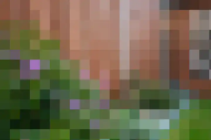 Sperwerlaan 90 Leerdam thumbnail 57