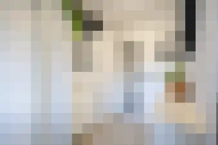 Sperwerlaan 90 Leerdam thumbnail 8