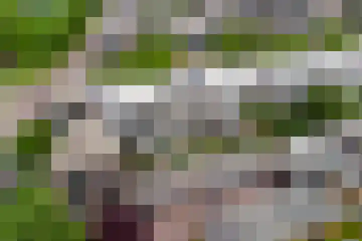 Sperwersingel 127 Den Haag thumbnail 42