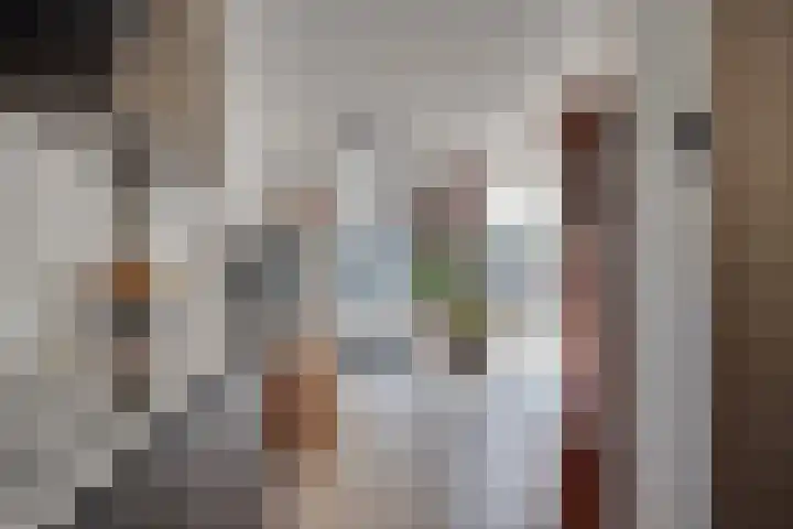 Sperwerstraat 1 Vianen thumbnail 11