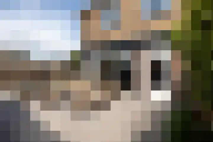 Sperwerstraat 1 Vianen thumbnail 24