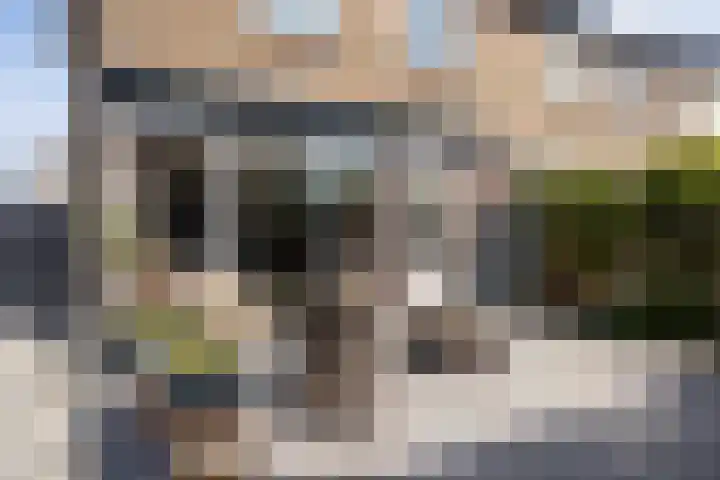 Sperwerstraat 1 Vianen thumbnail 27