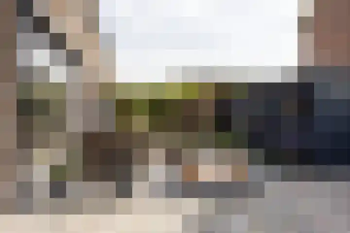 Sperwerstraat 1 Vianen thumbnail 30