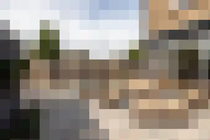 Sperwerstraat 1 Vianen thumbnail 31
