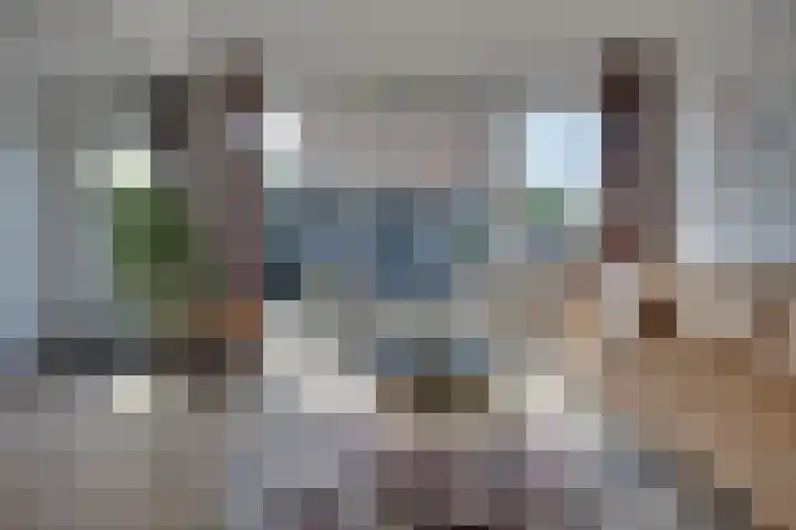 Sperwerstraat 1 Vianen thumbnail 5
