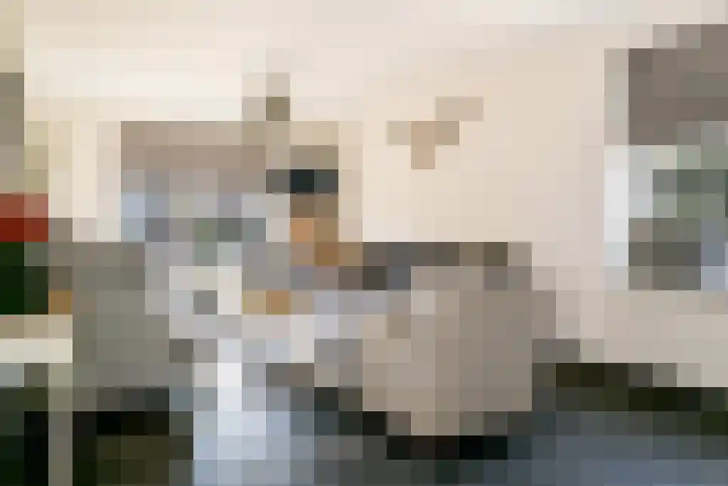 Sperwerstraat 12 Oss thumbnail 10
