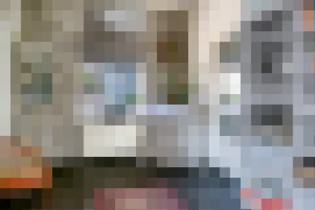 Sperwerstraat 12 Oss thumbnail 13