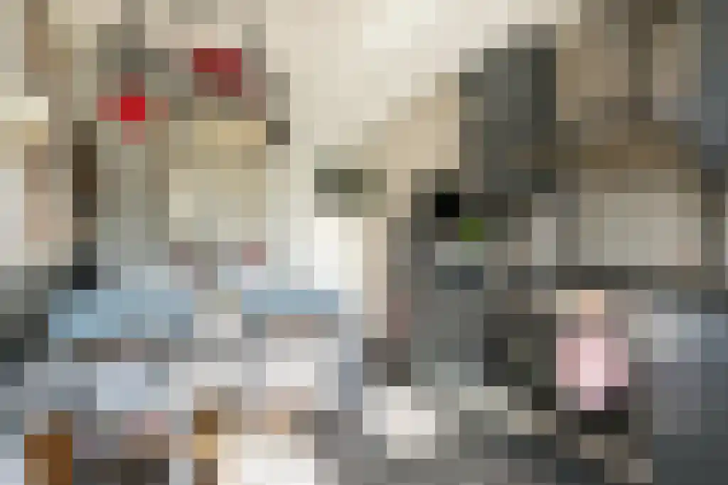 Sperwerstraat 12 Oss thumbnail 14