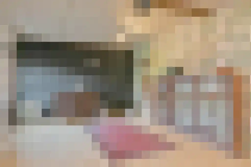 Sperwerstraat 12 Oss thumbnail 18