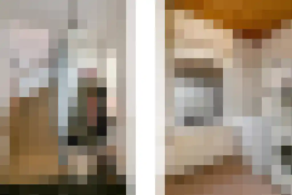 Sperwerstraat 12 Oss thumbnail 20