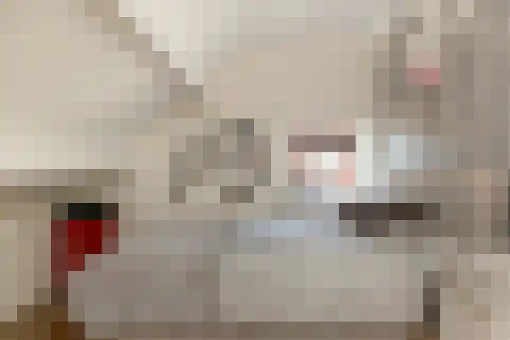 Sperwerstraat 12 Oss thumbnail 23