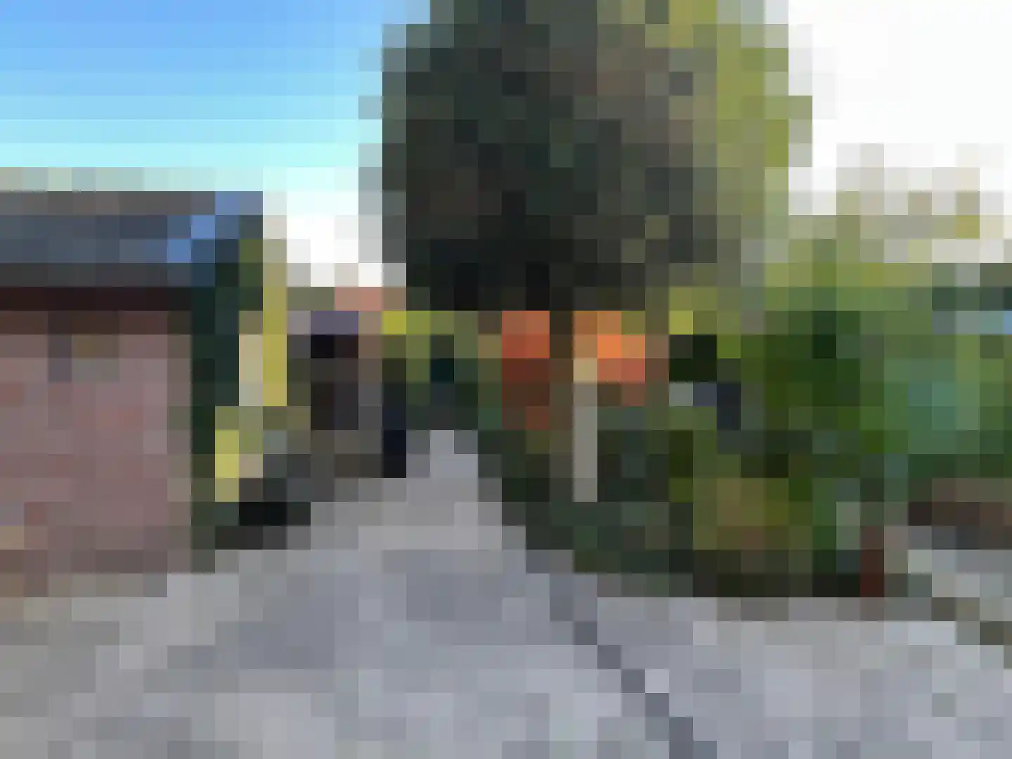 Sperwerstraat 12 Oss thumbnail 29