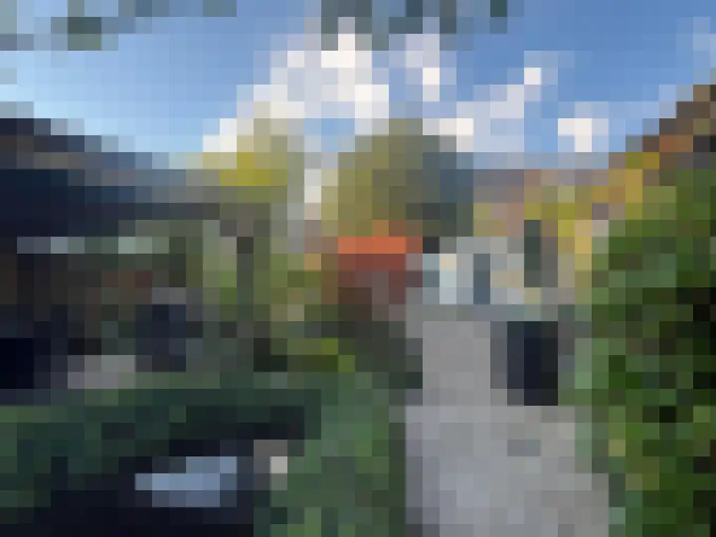Sperwerstraat 12 Oss thumbnail 36