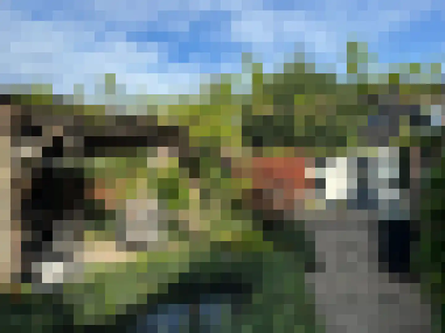 Sperwerstraat 12 Oss thumbnail 38