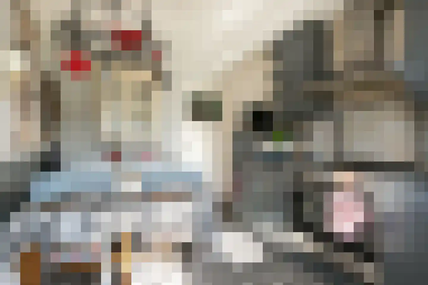 Sperwerstraat 12 Oss thumbnail 4