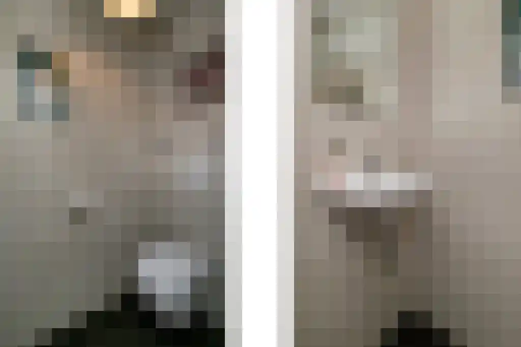 Sperwerstraat 12 Oss thumbnail 7