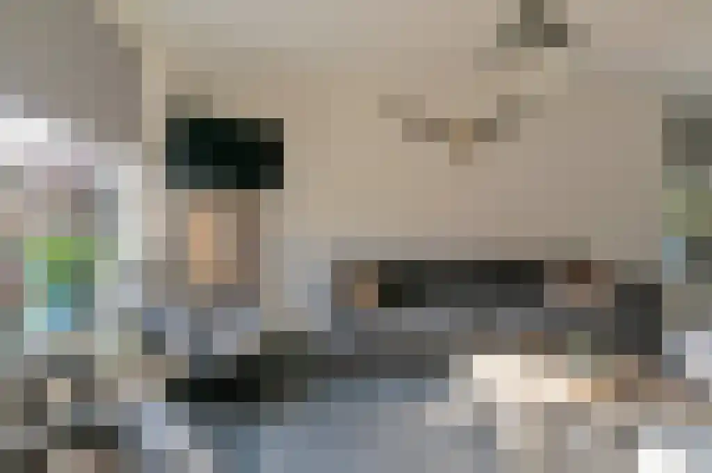 Sperwerstraat 12 Oss thumbnail 8