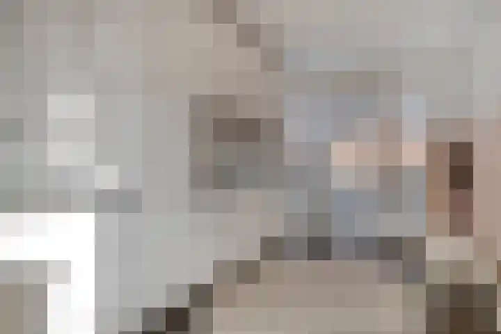 Sperwerstraat 15 Venray thumbnail 38