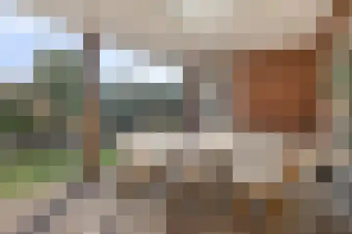 Sperwerstraat 15 Venray thumbnail 41