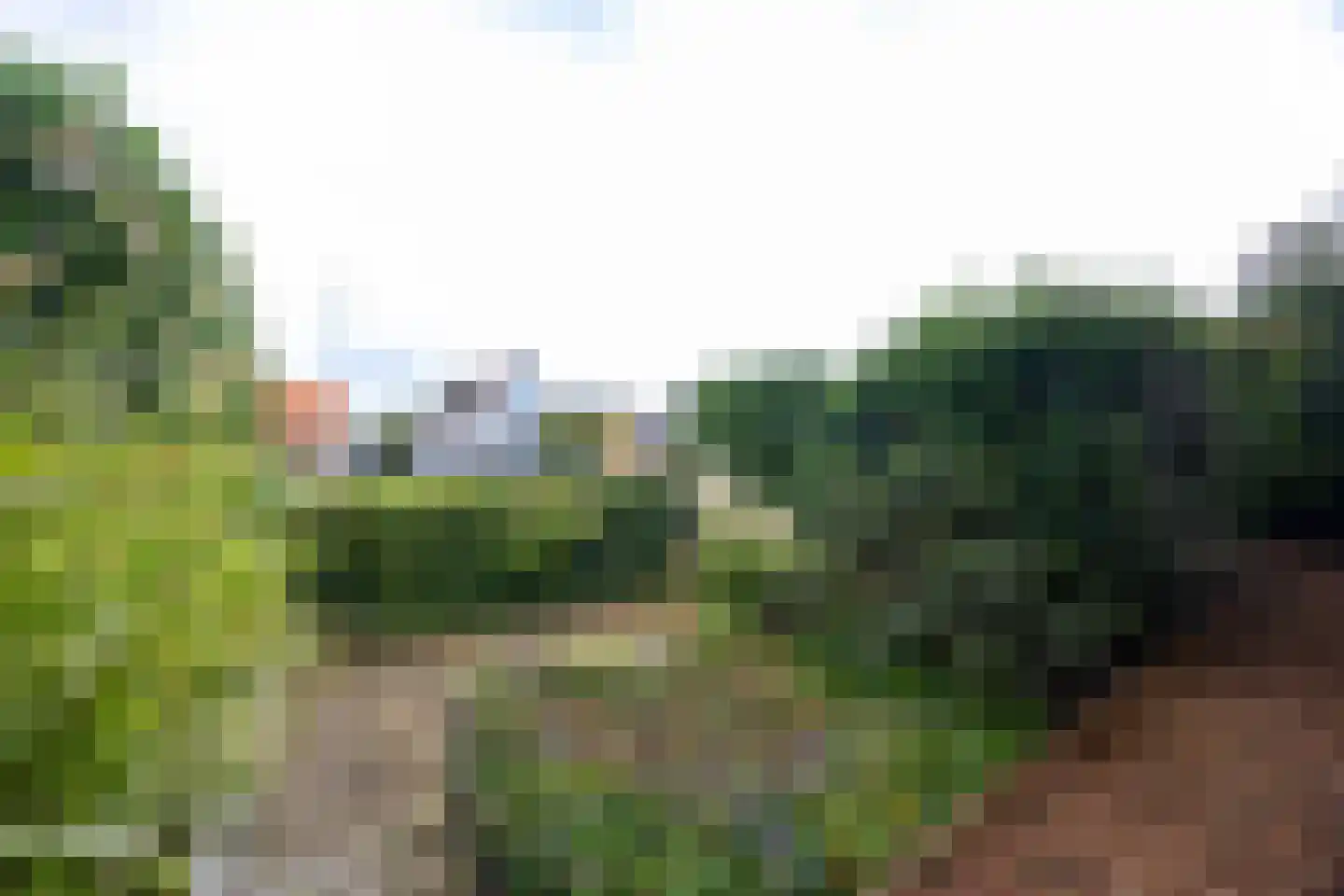 Sperwerstraat 17 Nieuwkoop thumbnail 25