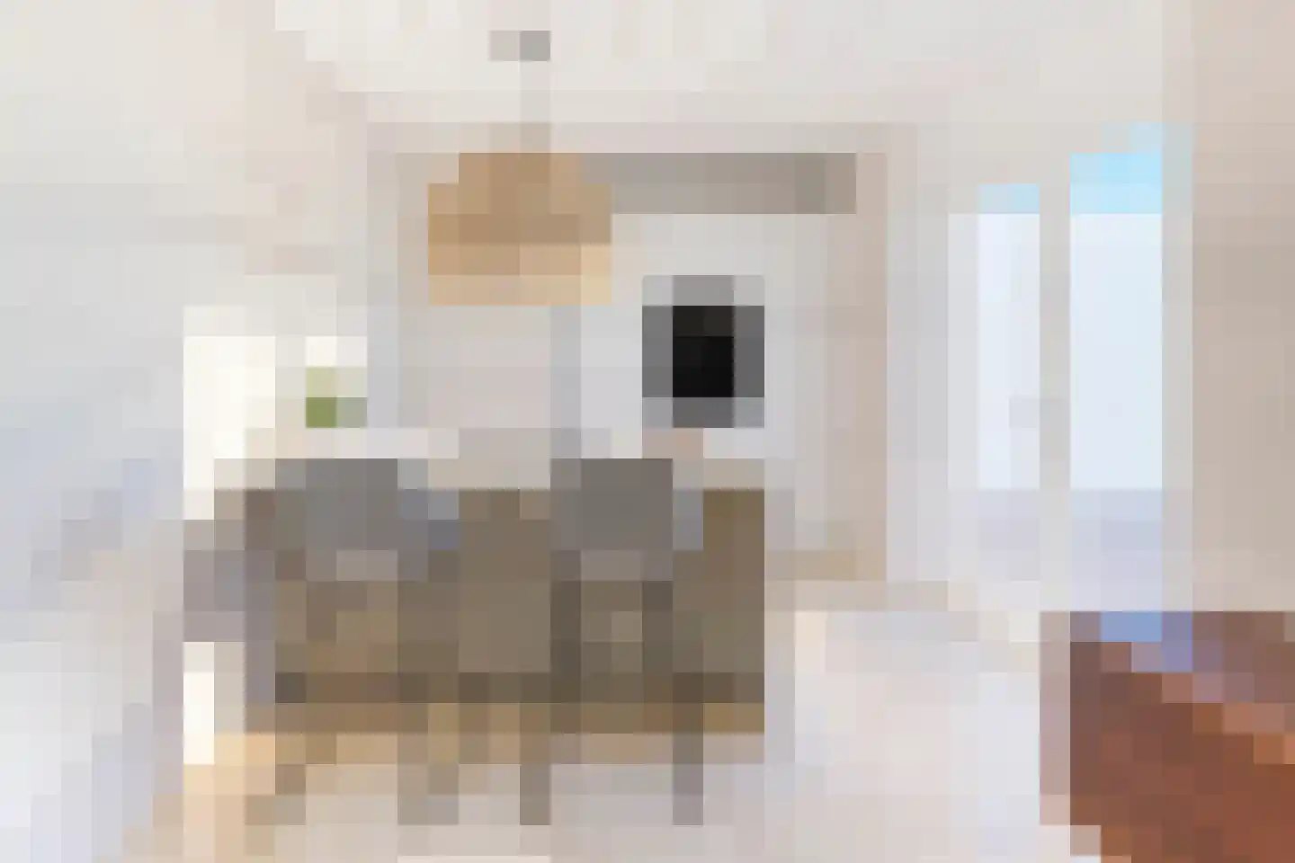 Sperwerstraat 17 Nieuwkoop thumbnail 8