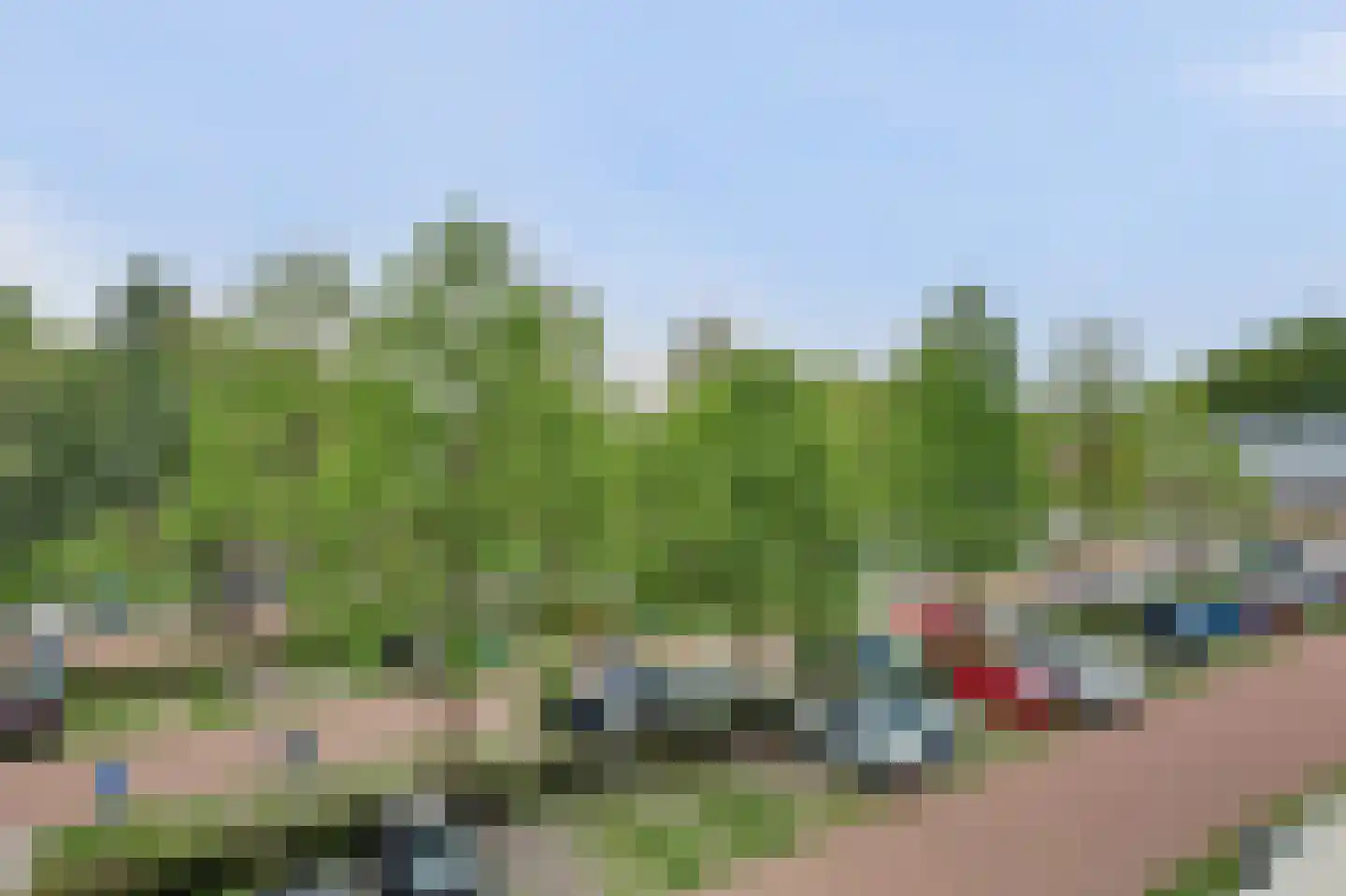 Sperwerstraat 19 Sliedrecht thumbnail 29
