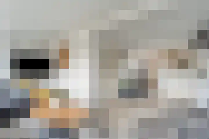 Sperwerstraat 2 A Losser thumbnail 10