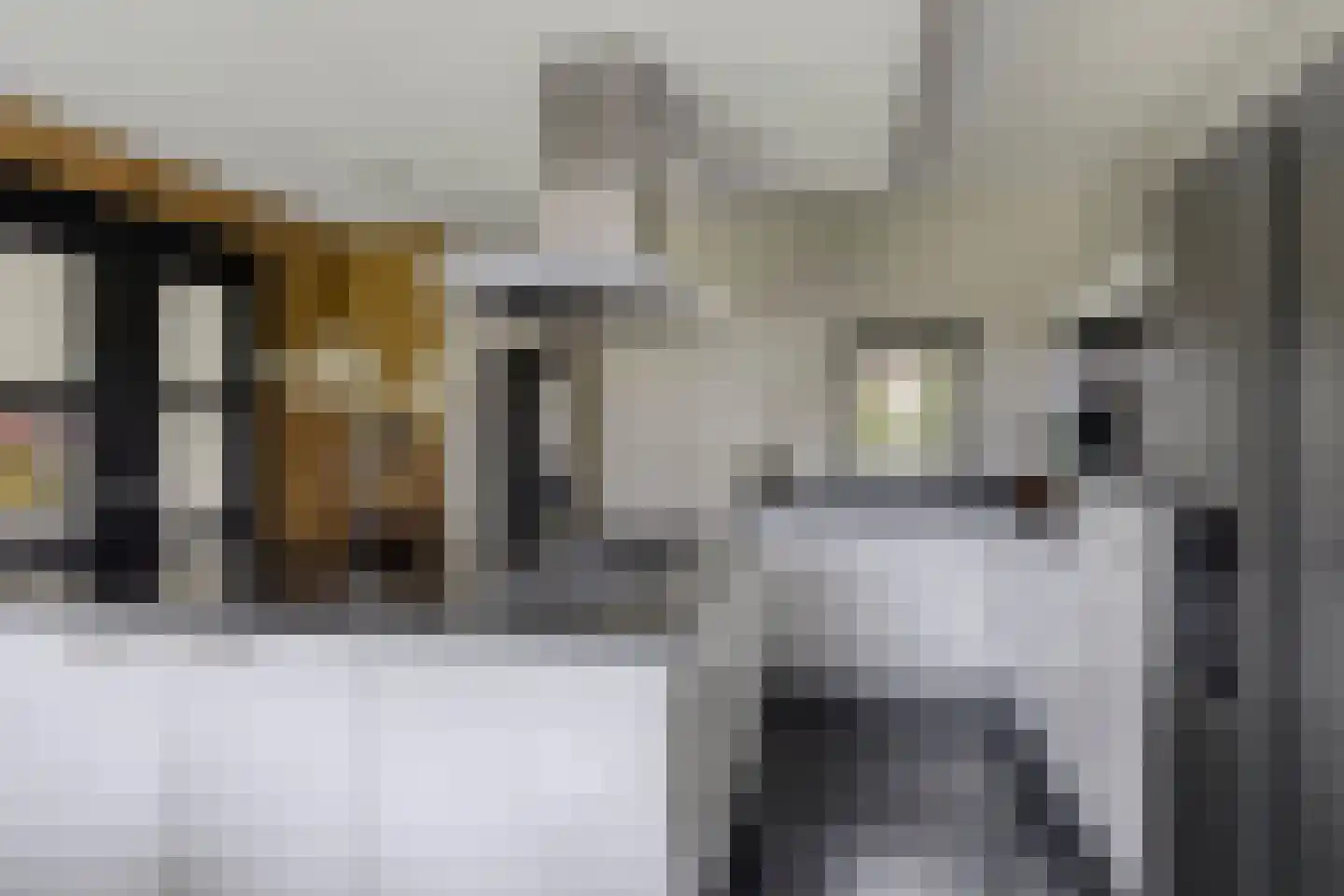 Sperwerstraat 2 Goor thumbnail 10