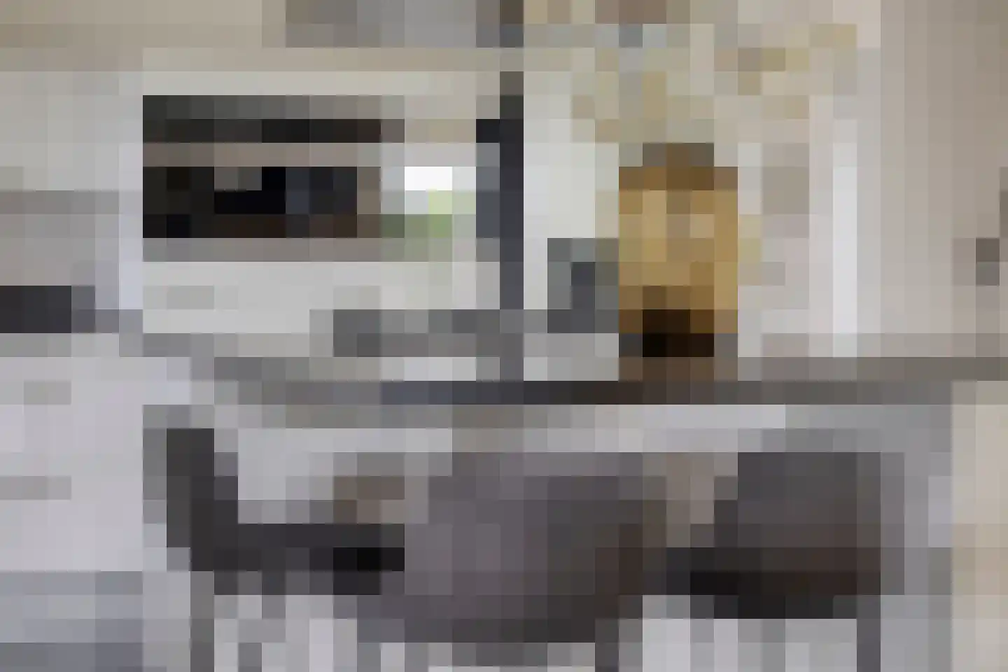 Sperwerstraat 2 Goor thumbnail 19