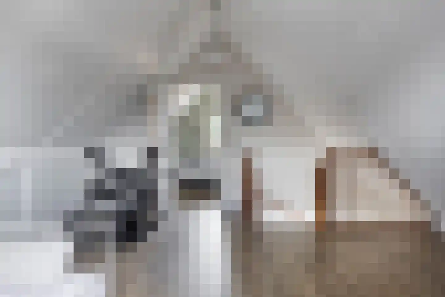 Sperwerstraat 2 Goor thumbnail 40