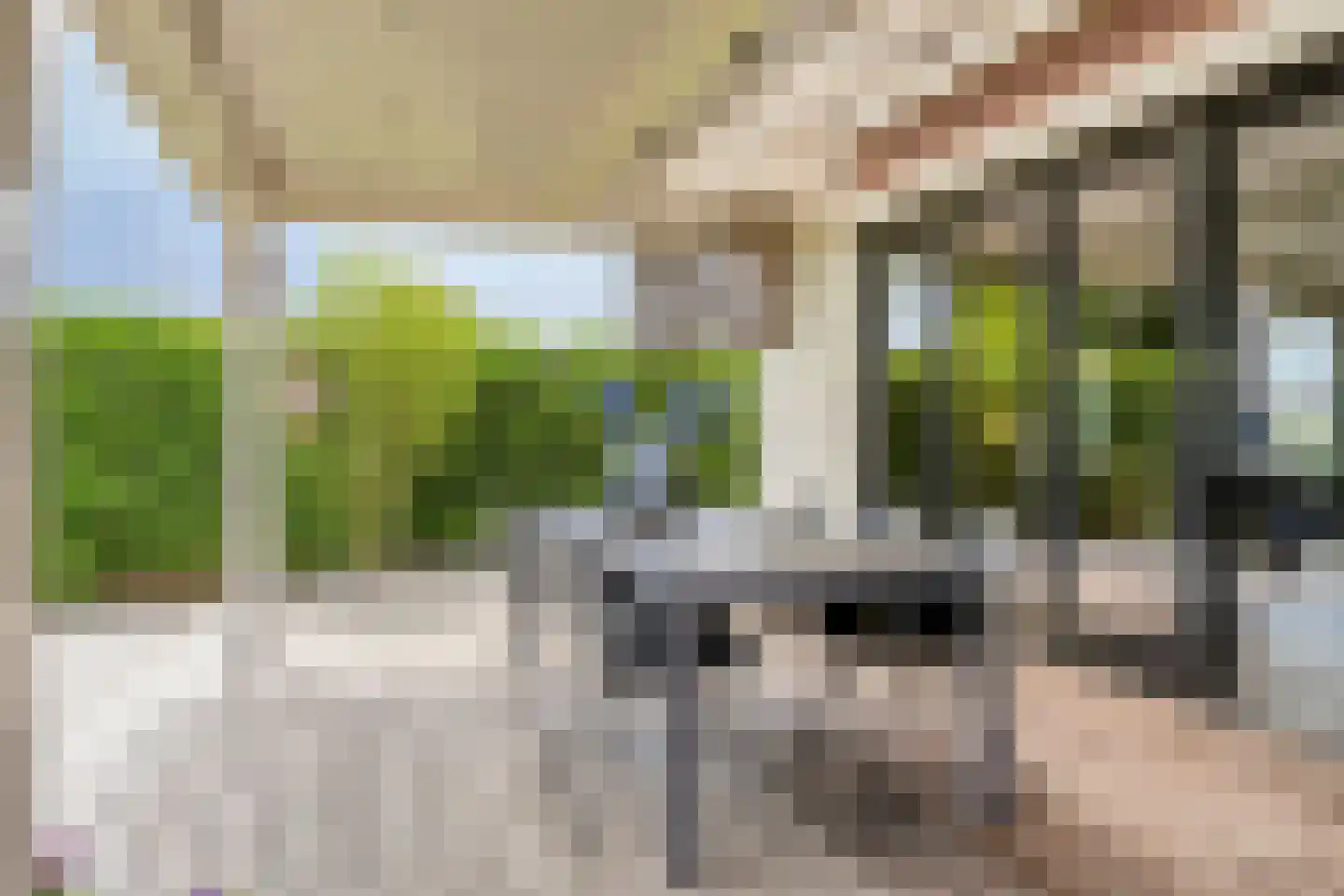 Sperwerstraat 2 Goor thumbnail 45