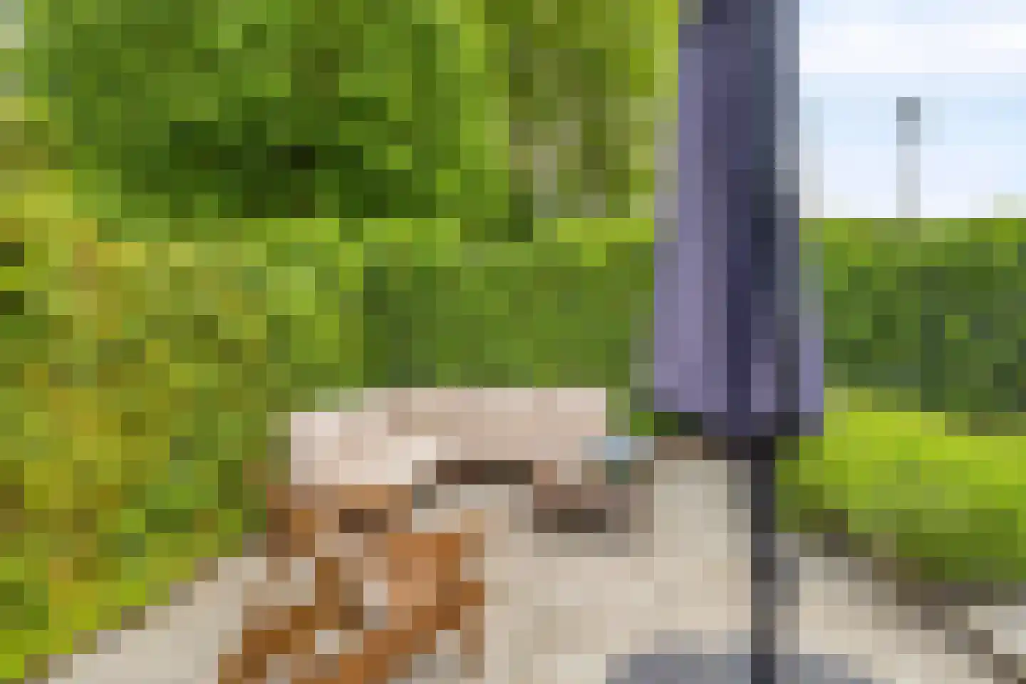 Sperwerstraat 2 Goor thumbnail 48