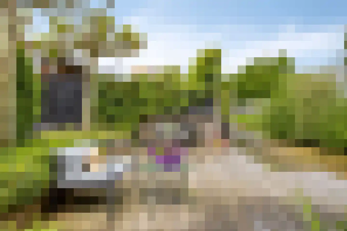 Sperwerstraat 2 Goor thumbnail 49