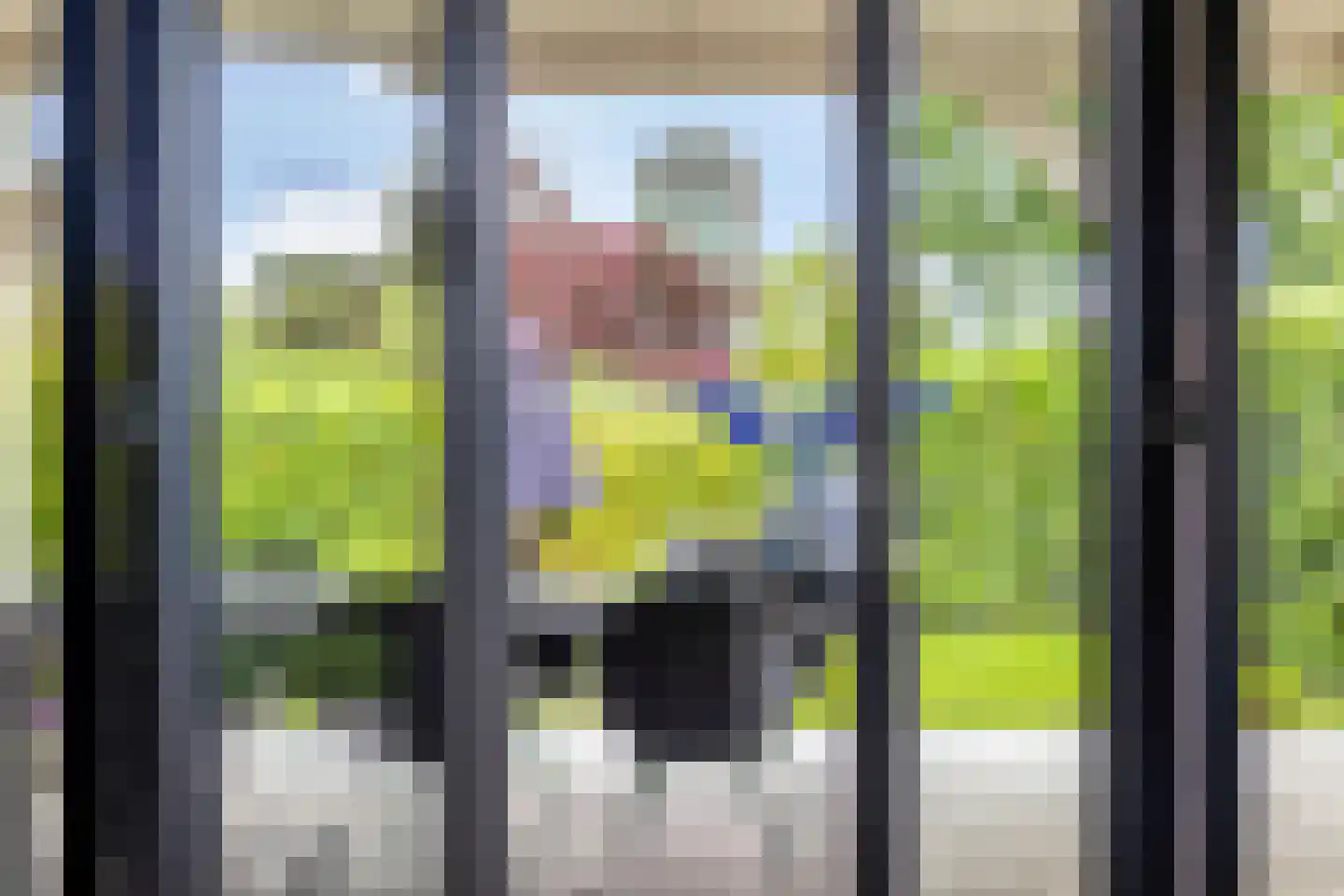 Sperwerstraat 2 Goor thumbnail 6