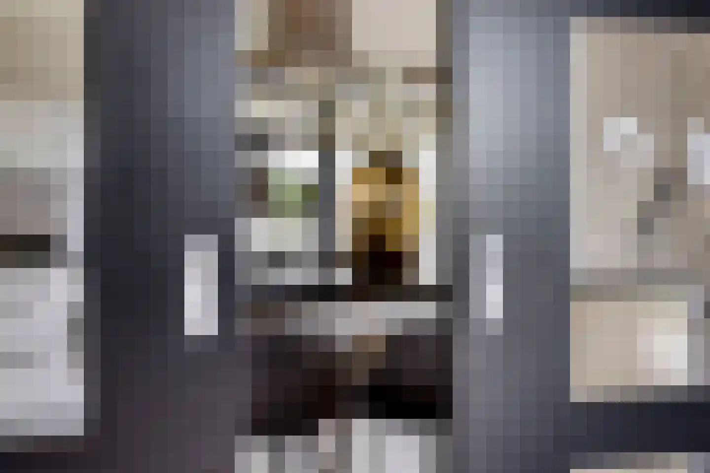 Sperwerstraat 2 Goor thumbnail 9