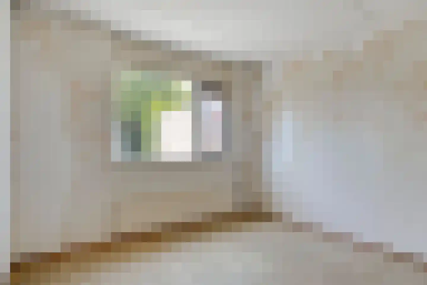 Sperwerstraat 20 Didam thumbnail 17