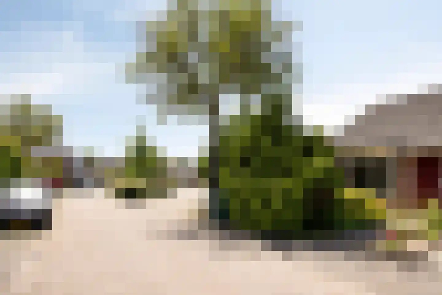 Sperwerstraat 20 Didam thumbnail 31