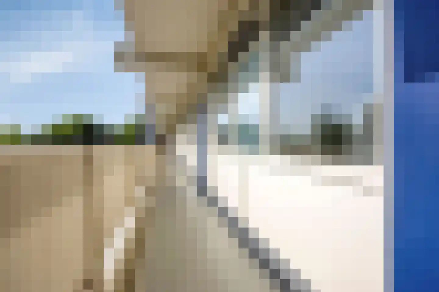 Sperwerstraat 21 Sliedrecht thumbnail 10