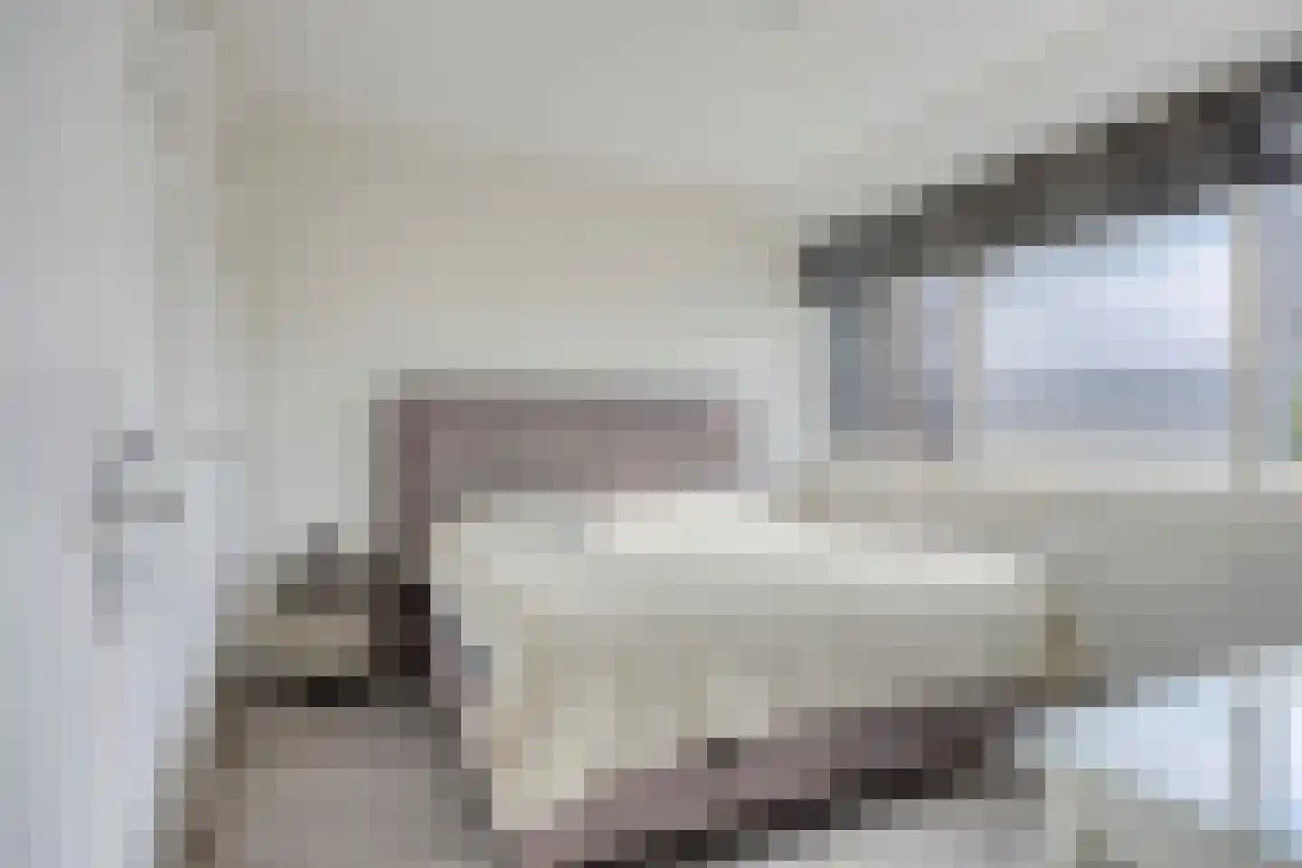Sperwerstraat 21 Sliedrecht thumbnail 16