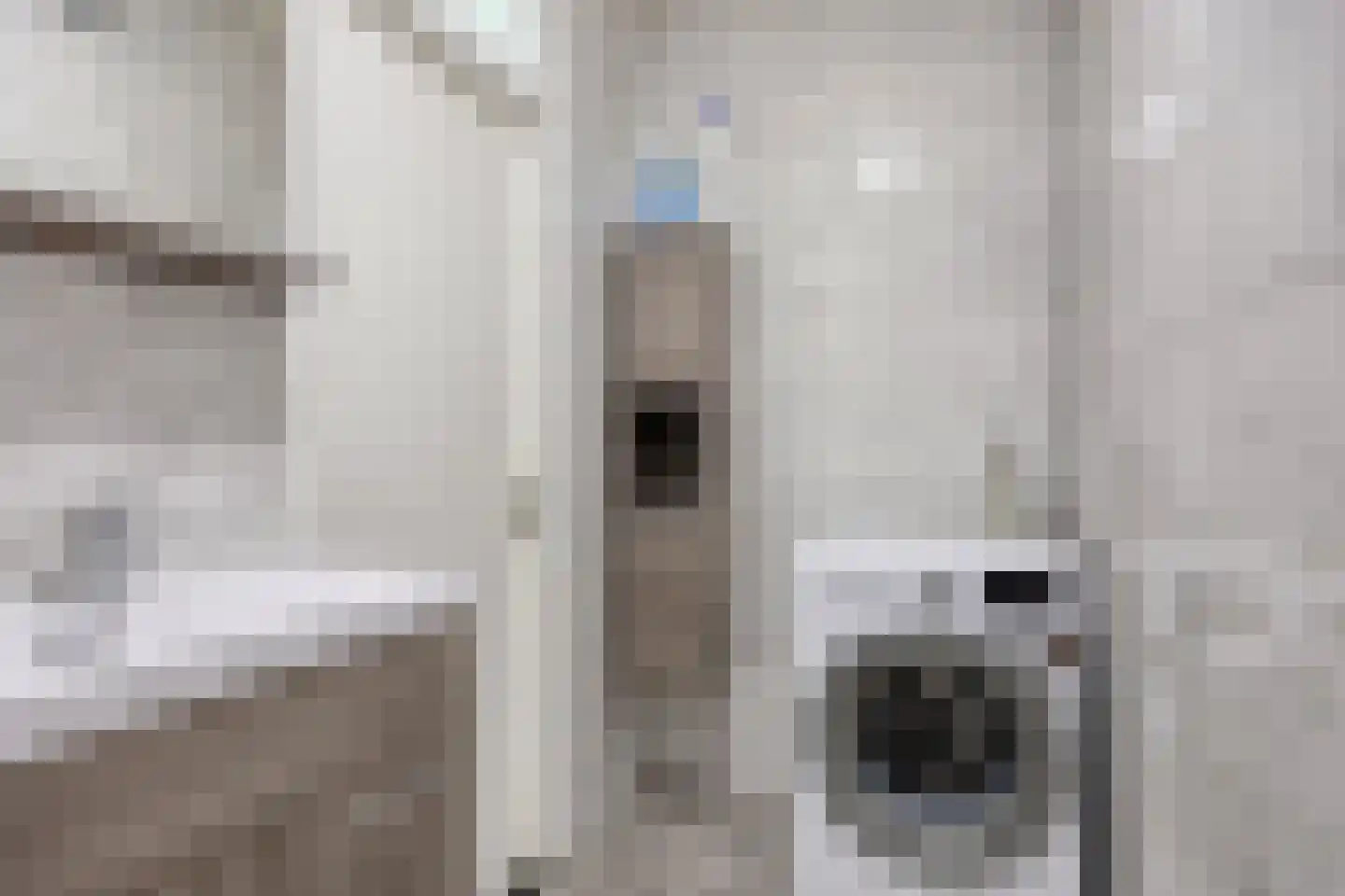 Sperwerstraat 21 Sliedrecht thumbnail 22
