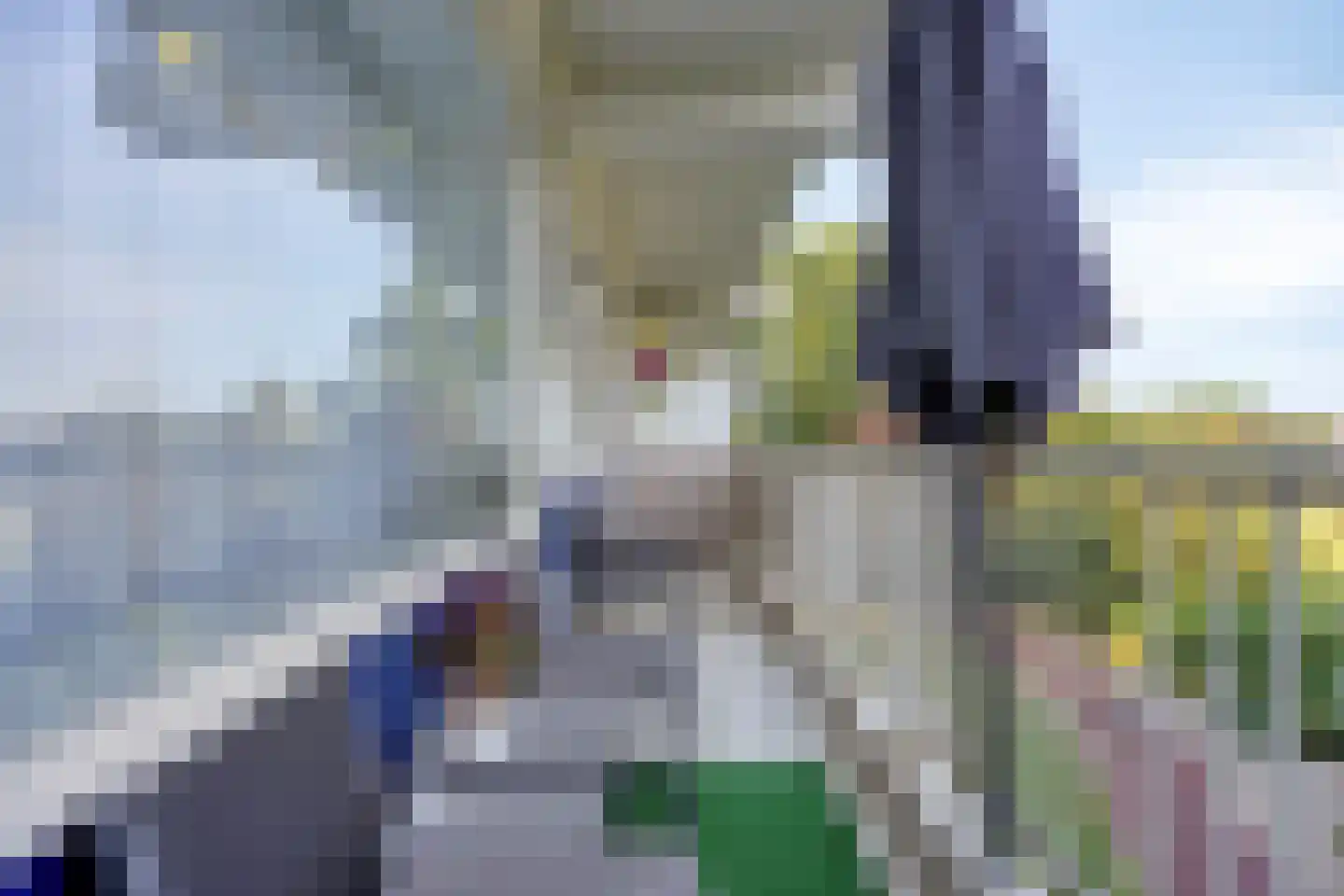 Sperwerstraat 21 Sliedrecht thumbnail 25