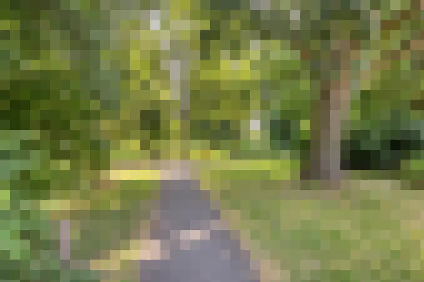 Sperwerstraat 21 Sliedrecht thumbnail 33